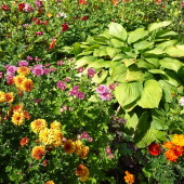 0fd2f2c9993f91541d9991bf056cb36e