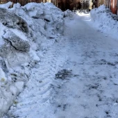 499ac2072bfaf41052f4bdcc83042bc0