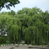 4f657cd7c58f035963dda836dcb52ca2