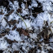 5abf12e8a16eacc5dd2f9709537ec4e3