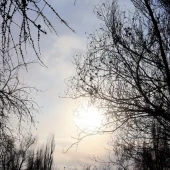 5b1cf38abeee793b48c6c55485b36901