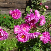 76acbe90798f371ff33cc457619accb0