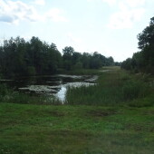 7e617532ade2004537c47b8035f438fc