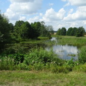 a4282312263a63de0350a454ec7a3222