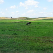 ad5182ca5bb453745c047ea2d7a15b64