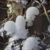 aee66450ef48c70aa22f403beb4b5cc8