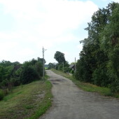 bc22d18b831c1b81a4c19be985fecf96