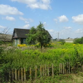 c0c580072aea554eb528d8ef16af1991