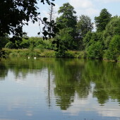 c0fe4f923bb5ea392a1d24c180cf2079