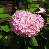 c39295e2bdb8b7af14a626822d696e35