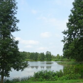 c4544e46918a9c69481f687ec34d3615