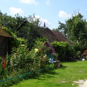 d7173d69e4ab298fa533234e0dba9ed6