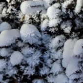 e67979f5cc5341bf35c6f28483be1ba7