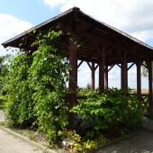 f0b1e465384adedda2fb0504f6eafcb8