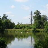 f1e69ce672b1785ff2c7c096c0076ac8