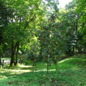 fa55847ec8968d9577e81d9f1a3db05a