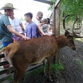 0095ccbf7386368db2a4a88222b0d6fb