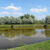 00f8e06460a30129deee917a3b17857a