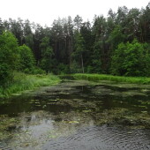 0a35adb0cea89765e987067fffb74982