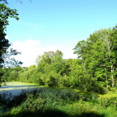 104ec7f3a3555200c989a8eba262c241