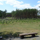 11097a667bc2d7aaaf43d61e8531c1ad