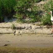 148d7e72e5dc3a88792596071c978cd4