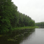 19b0419173a039a195c1931a5c20ef65