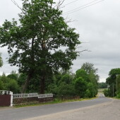 19ff5902ab4c71fd5acb2722bf6a2f69