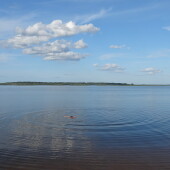 1b53b9b9a43fc47a1493cfcc875776a6