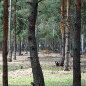 1b7cb05c228ad5b6f3ab78fdb7953211