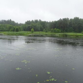 1bd4934c18164ee5d9ed3e3ef0565373