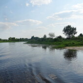 1d1e7d9d3bbc6931497951d092ffc6ed