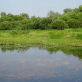 1d82169f8a52aa6dee6bf150f894481c