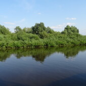 269f28b5fc09eb64130ea4d97b80bdcc