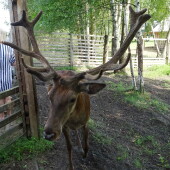 26b607e5f0bc7a8483df6dbbd7479cd8