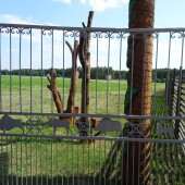 26cff3156a218752bda6751e04dca105