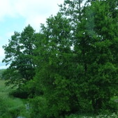 2afae883b11b328b4693e3beab3bb0d5