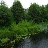 2c11b80d84c2d4fd9bf5c6a83c66147f