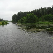 315b9a93f5dafc4405ad4cfef9219189