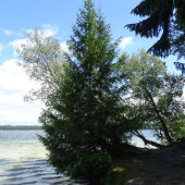 3379e10e2e9975ac4b4fe9ce2fe8fe45