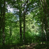 36676d23ebab5cf4e54c2a2e58afcd33