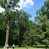 3ab34a33af96cba4c302c50e023eec08