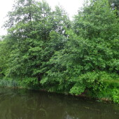 3b9e14bb9fc5e69bf6bc410d8888f74b