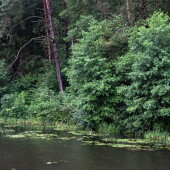 3c3bb6cc2dfd0bb6607bbcc530e1ba03