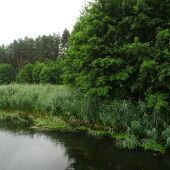 3e303378650c298d4d96cdc78fbcf74b