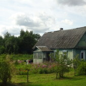 3f5c4335ef078c7bc8cb9e2d1515ea2e