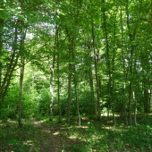 41cb7952850144fad098a0bc78be7c95