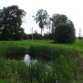 42548766cfa41cb3600ef5832b9b218e