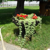 443698db24986024596ff0b262cd6e2a