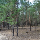 46d97e6c67f8fad5c950a82c40866cdf